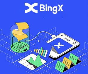 BingX